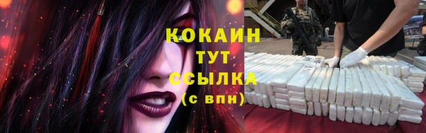 PSILOCYBIN Россошь