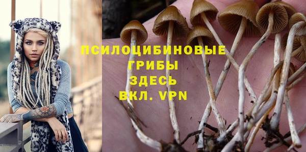 a pvp Абаза