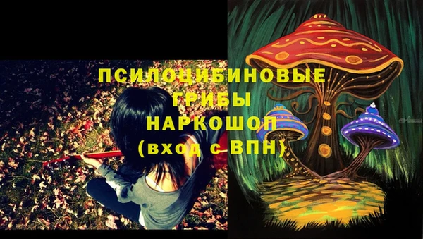 a pvp Абаза
